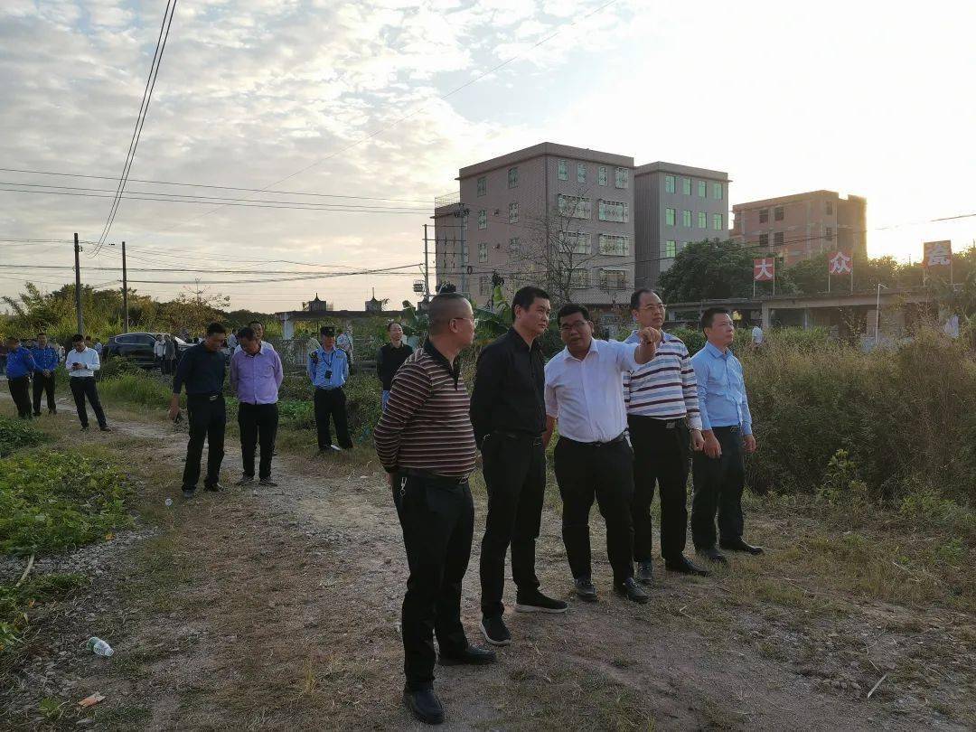 11月28日至29日,麒麟镇组织单元,线条,部门负责同志,大寮村,月屿村"