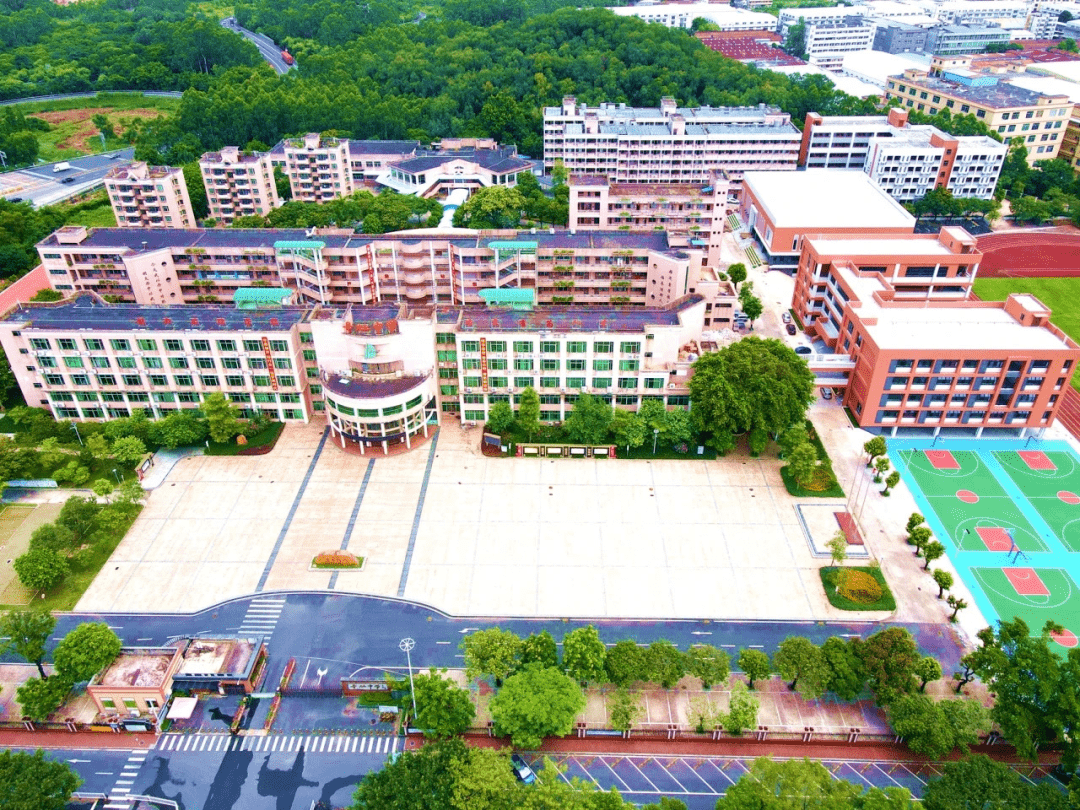 丹灶中学新建综合楼,体育馆惊艳启用!_教育_师生_成运动