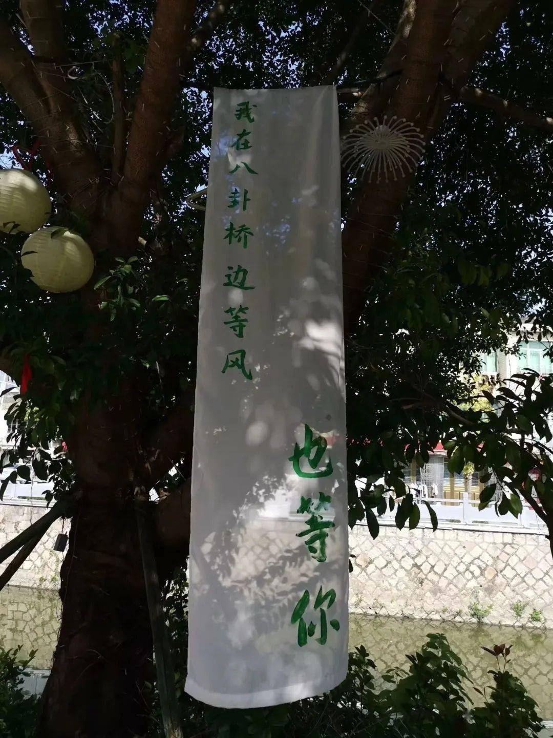 陶山两条相距仅半里的"国保"古石桥--八卦桥和河西桥_瑞安_老屋