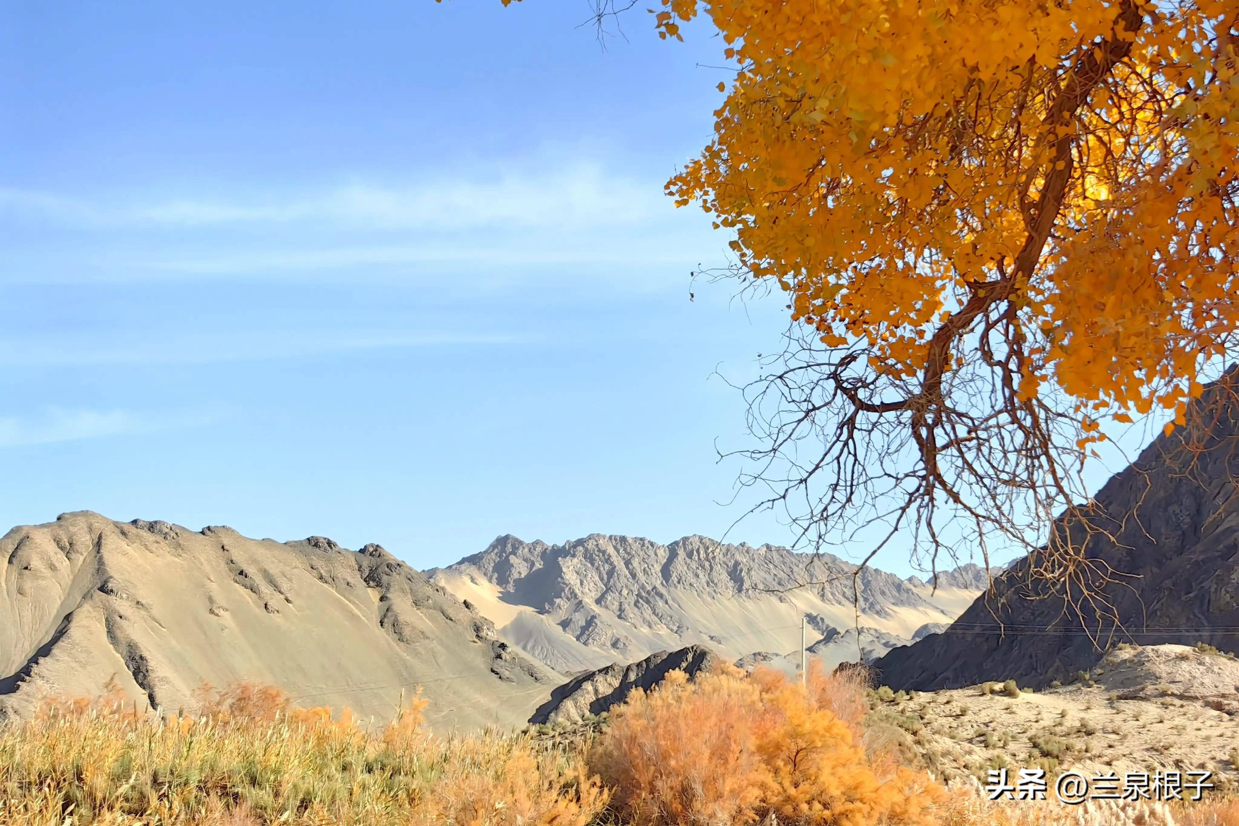 秋天的酒泉阿克塞多坝沟胡杨峡景区原生态风景美如画卷_县城_大漠