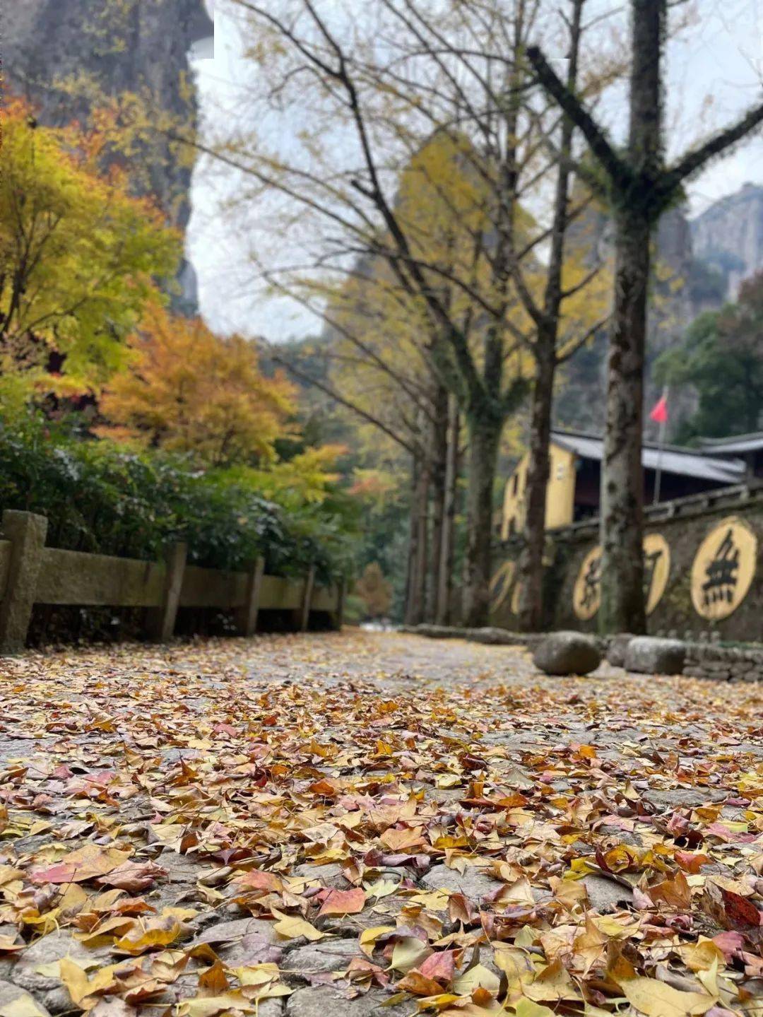 灵峰禅寺