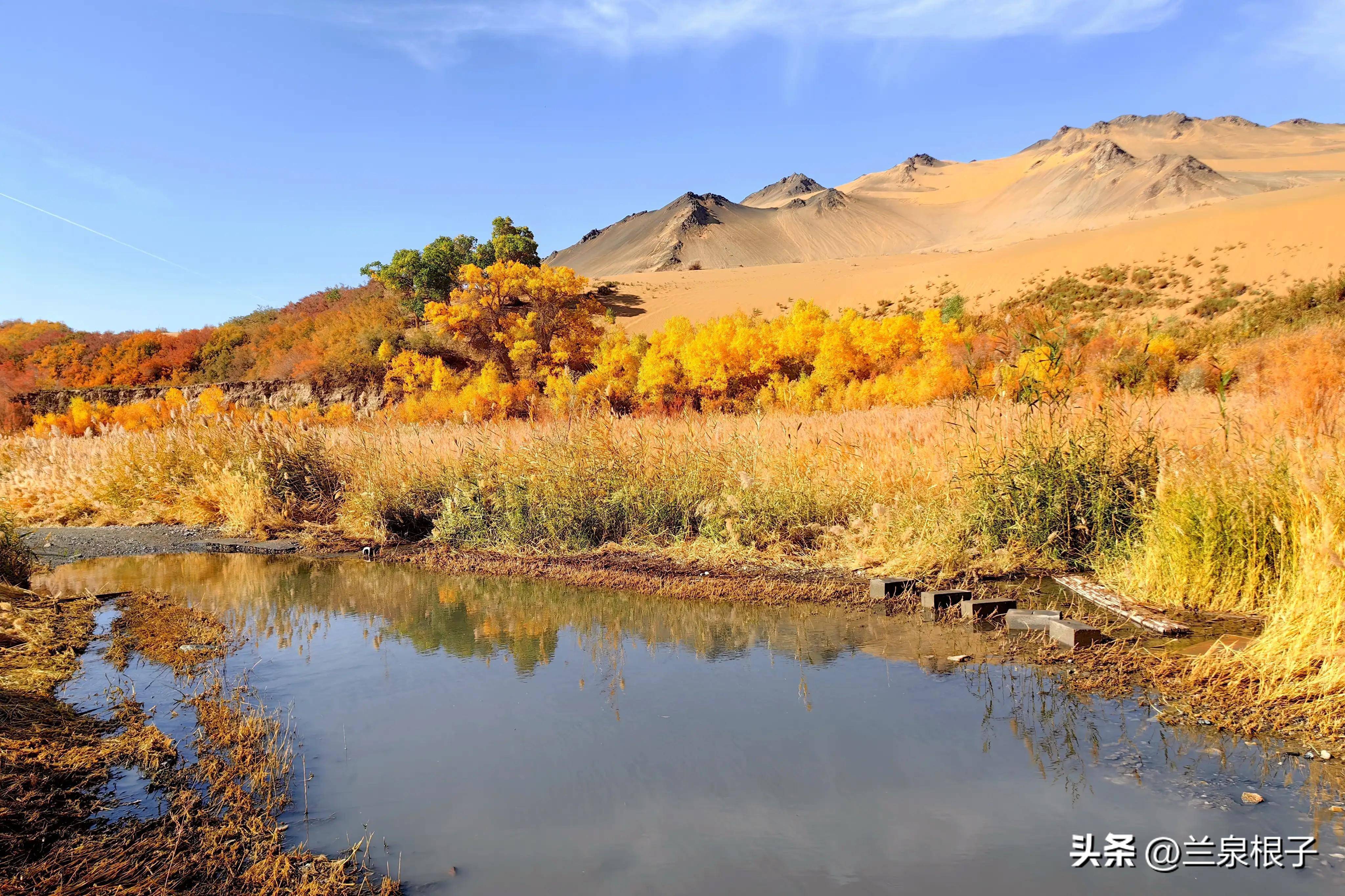 秋天的酒泉阿克塞多坝沟胡杨峡景区原生态风景美如画卷