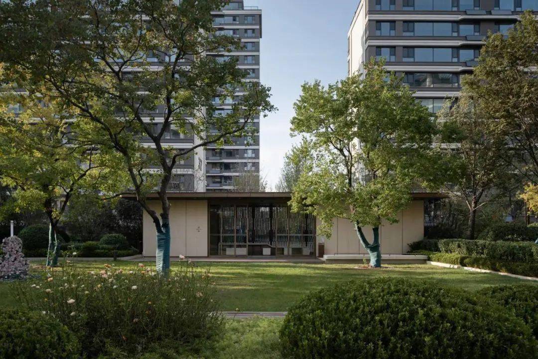 与山为邻 引森入园 | 济南中海 · 阅麓山南区_the_site_场地