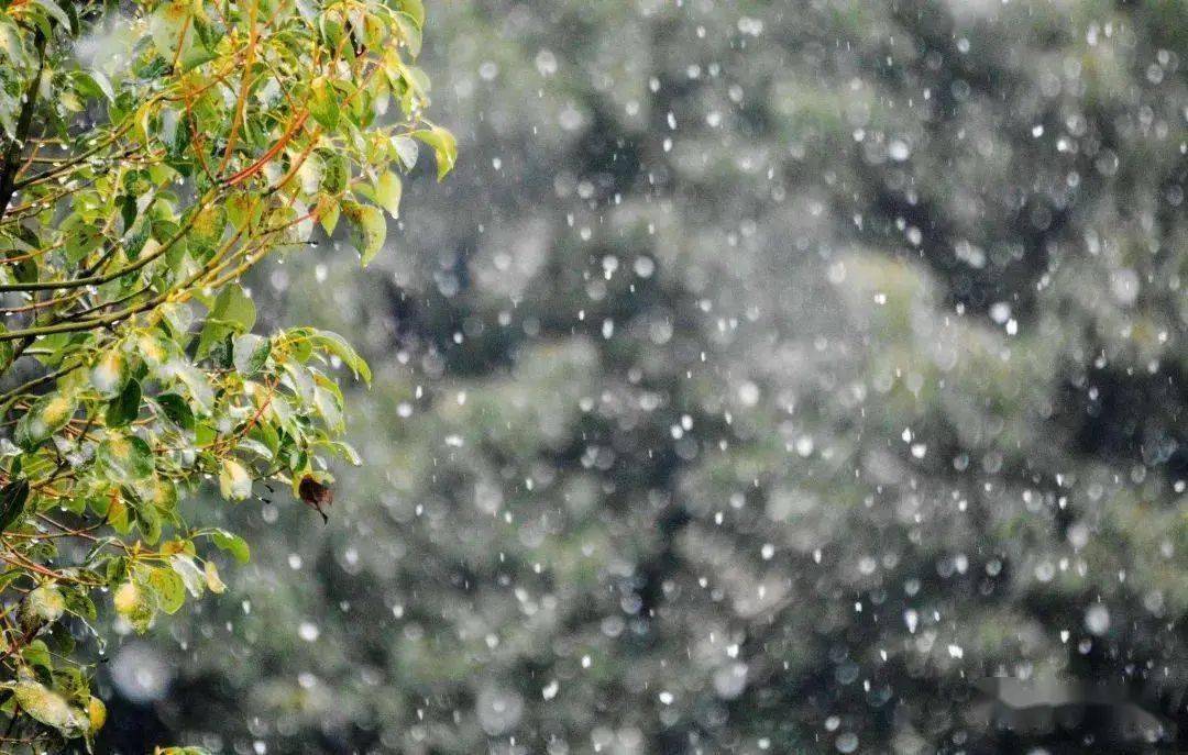 雨夹雪唯美图片