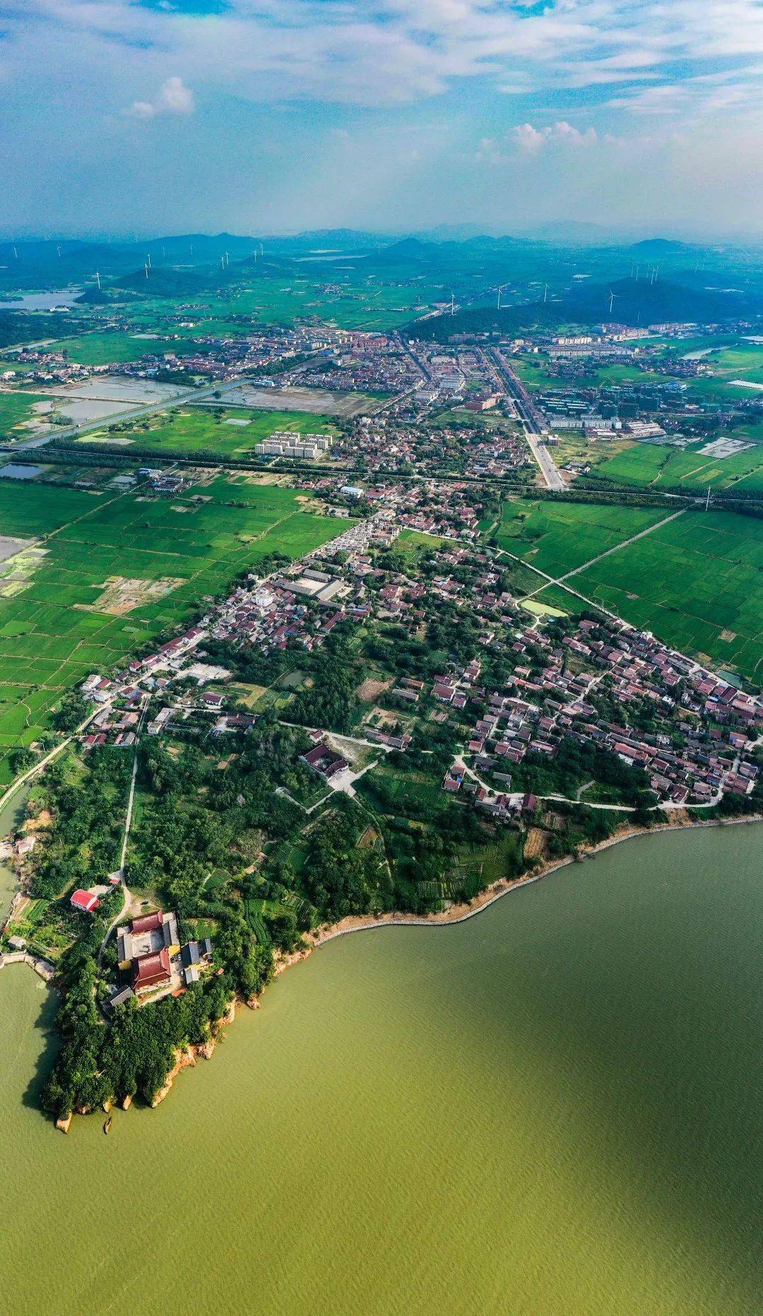 庐江县促进文化和旅游产业发展扶持政策_给予_一次性奖励_企业