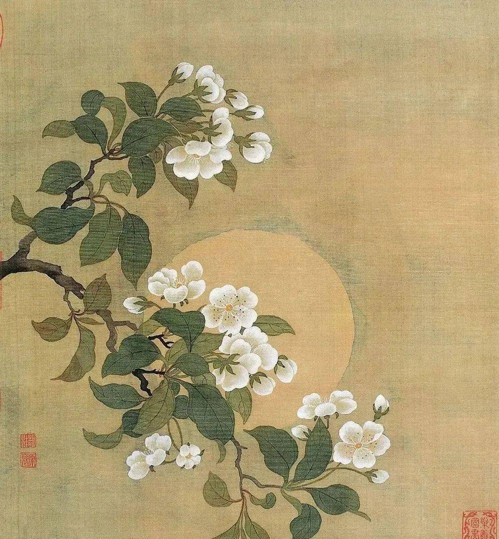 【中华文化】精美绝伦|历代名家没骨花鸟画