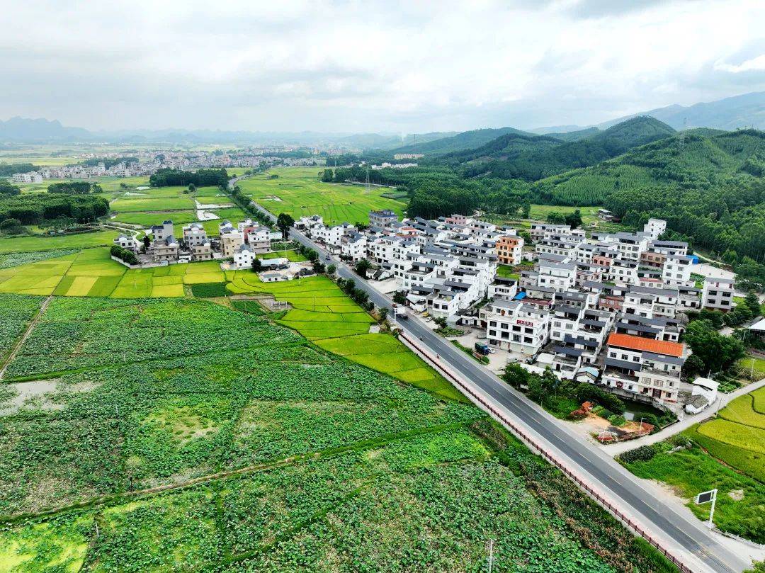 国道241线平南县丹竹镇至大洲村沿线全长10公里,被列入第一批西部陆海