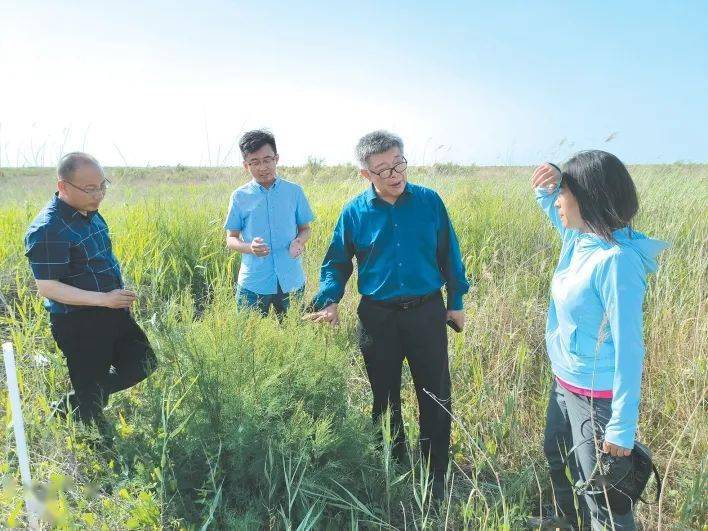 聚焦海洋固碳儲碳,守護黃河三角洲_研究_溼地_調研