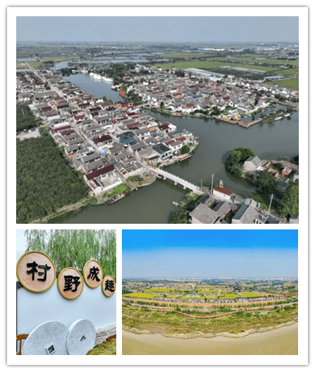 新桥镇新合村元宝圩,母子圩西,母子圩东靖江市:千垛镇陈杨村陈杨竹泓