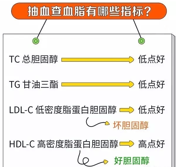 化验单上包括四种基础项目:总胆固醇,甘油三酯,低密度脂蛋白胆固醇,高