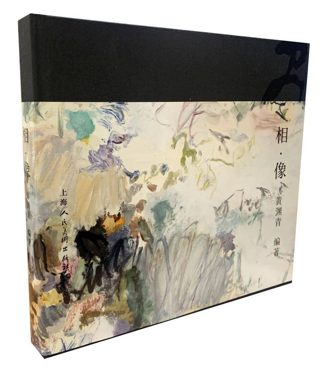 中国現代水墨画 張大壮画集 上海人民美術出版社