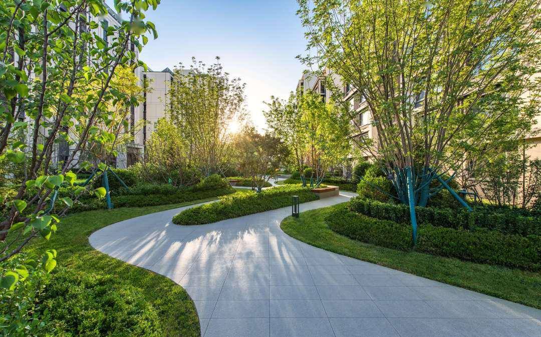 甲方爸爸:组团花园,再提升一下价值卖点!_空间_绿化_活动