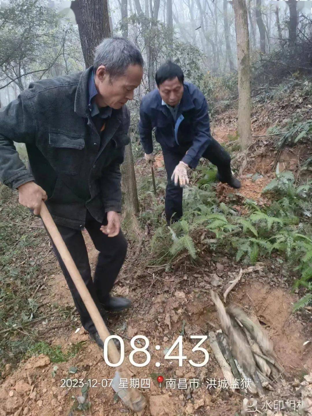开展白蚁防治 守护美好家园