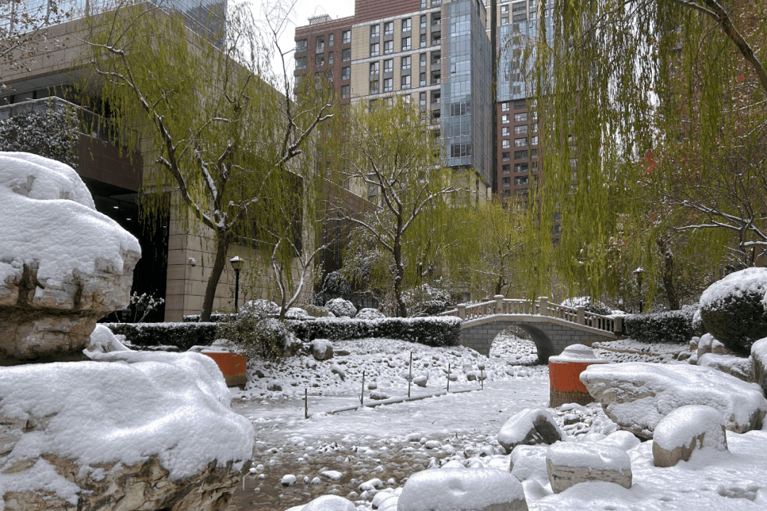 恒辉物业|石家庄的雪终于来了_洋房_雪花_雪天