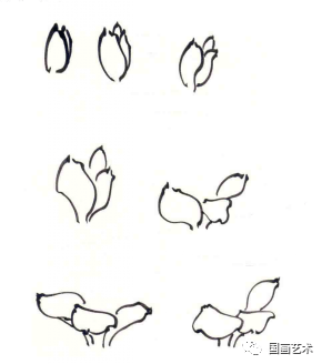 步驟一:用中墨勾花瓣,瓣尖頓筆,之後中鋒行筆.