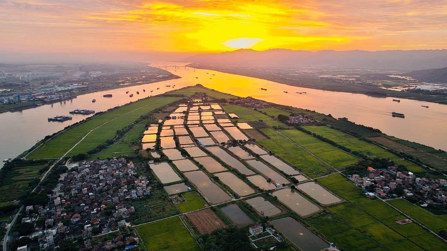 岛周边景点:国家aaaaa级旅游景区鼎湖山 羚羊峡 紫云谷 砚阳湖公园等