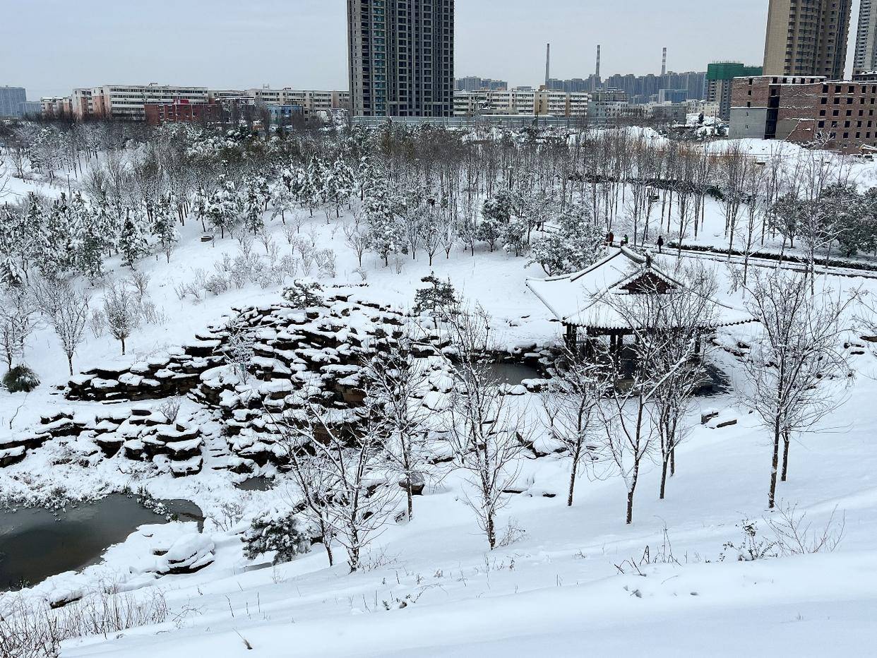 郑州的下雪天,不但有美丽的雪景,还有他们的最美坚守