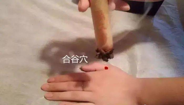 艾灸_按摩_大腸