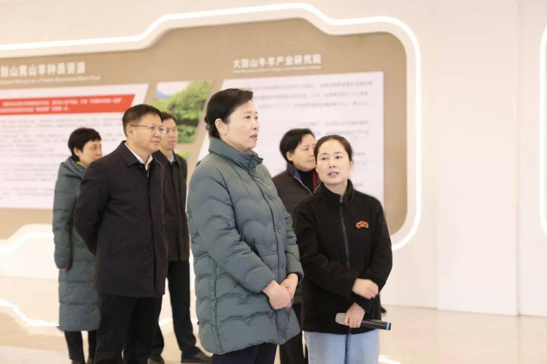 王艳玲强调 持续深化代表行动丰富全过程人民民主基层实践_罗田_开展