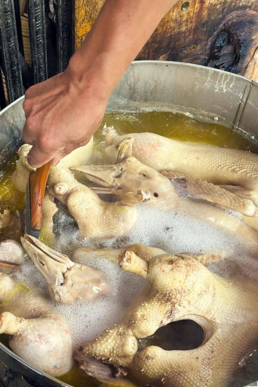 中国最被低估的家禽,凭什么一夜成为冬日美食顶流?_摄影_广东_潮汕