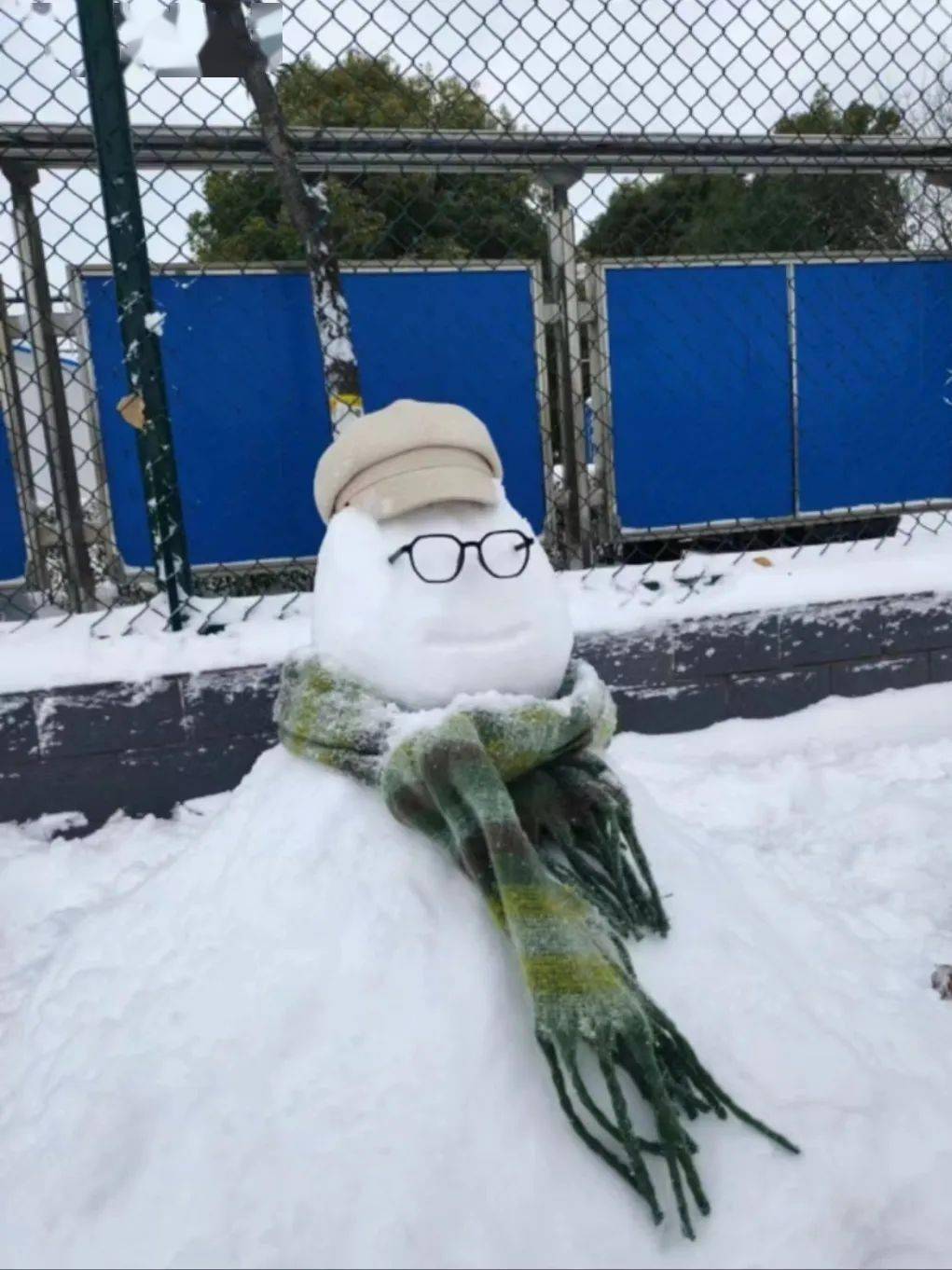 冬天增添了独属于青春的一抹活力濮阳职业技术学院这些雪人或娇憨可爱