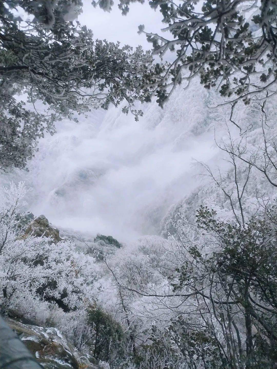 带你看水墨画般的银装鸡峰山→