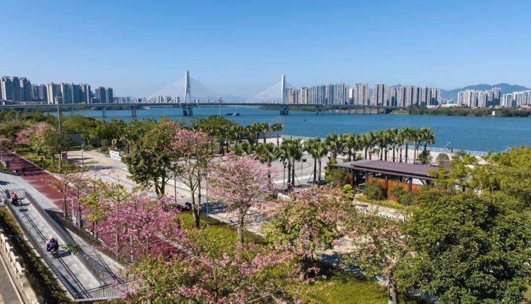 清远市区北江南岸公园.