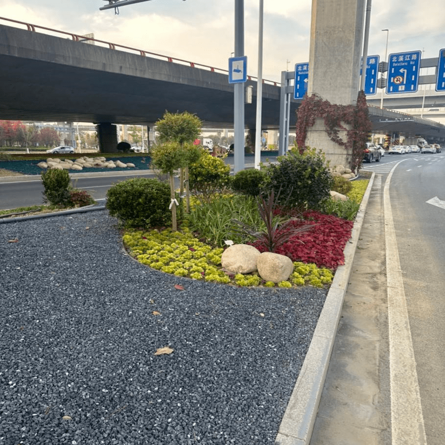 道路中分带绿化设计图片