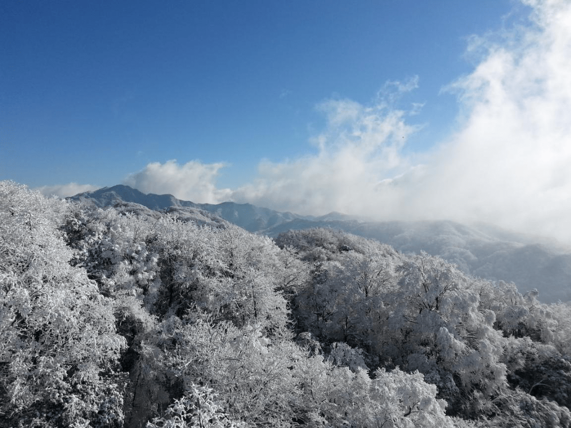 包括麓山景區,天馬山景區,橘子洲景區等八大景區