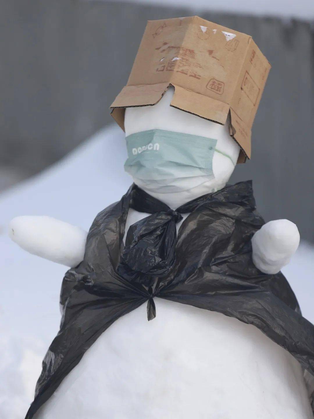 冬天增添了独属于青春的一抹活力濮阳职业技术学院这些雪人或娇憨可爱