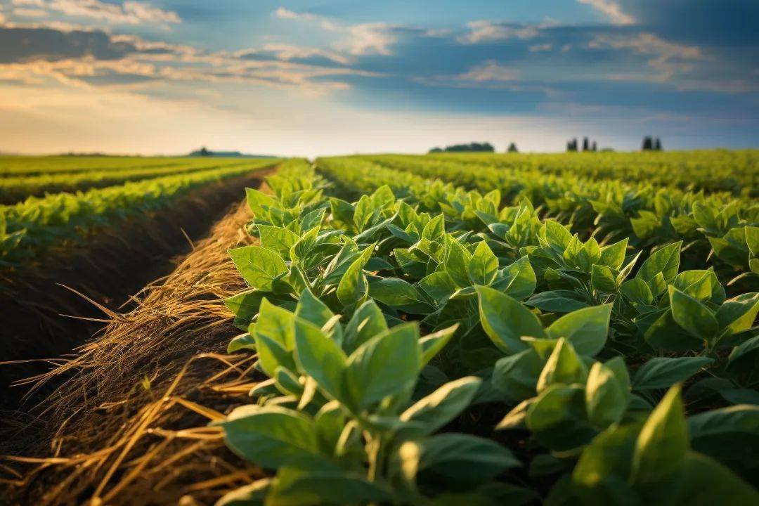 人有钱没钱,一看便知:没钱的人,大多有这4个穷习惯_生活_个人_金钱