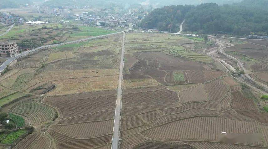 涔天河鎮:煙田起壟備耕忙_田壟_進行_指導