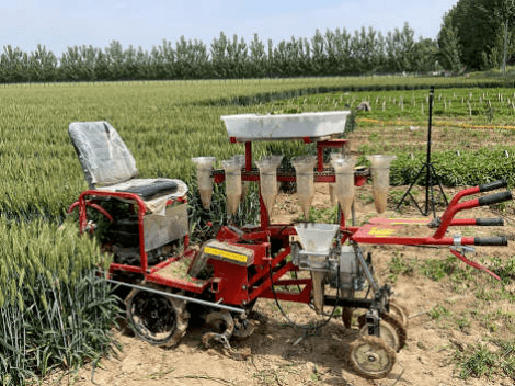 辣椒機械化移栽技術採用乘坐式 2行移栽機(圖4),麥套辣椒模式設置小