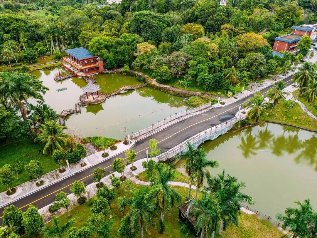 祝贺|万宁兴隆南药园入选海南省第一批中医药健康旅游基地!