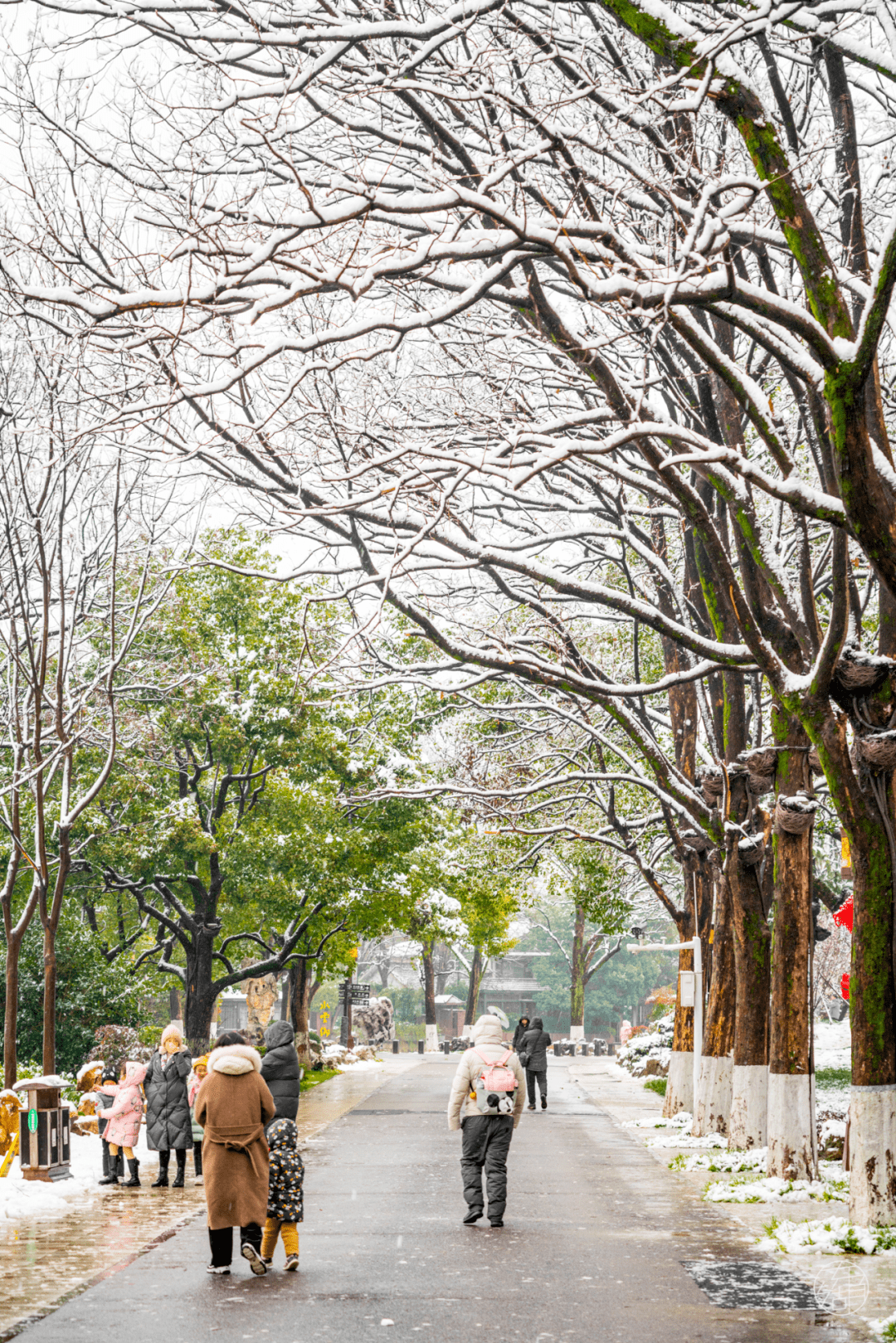 武汉雪景图片