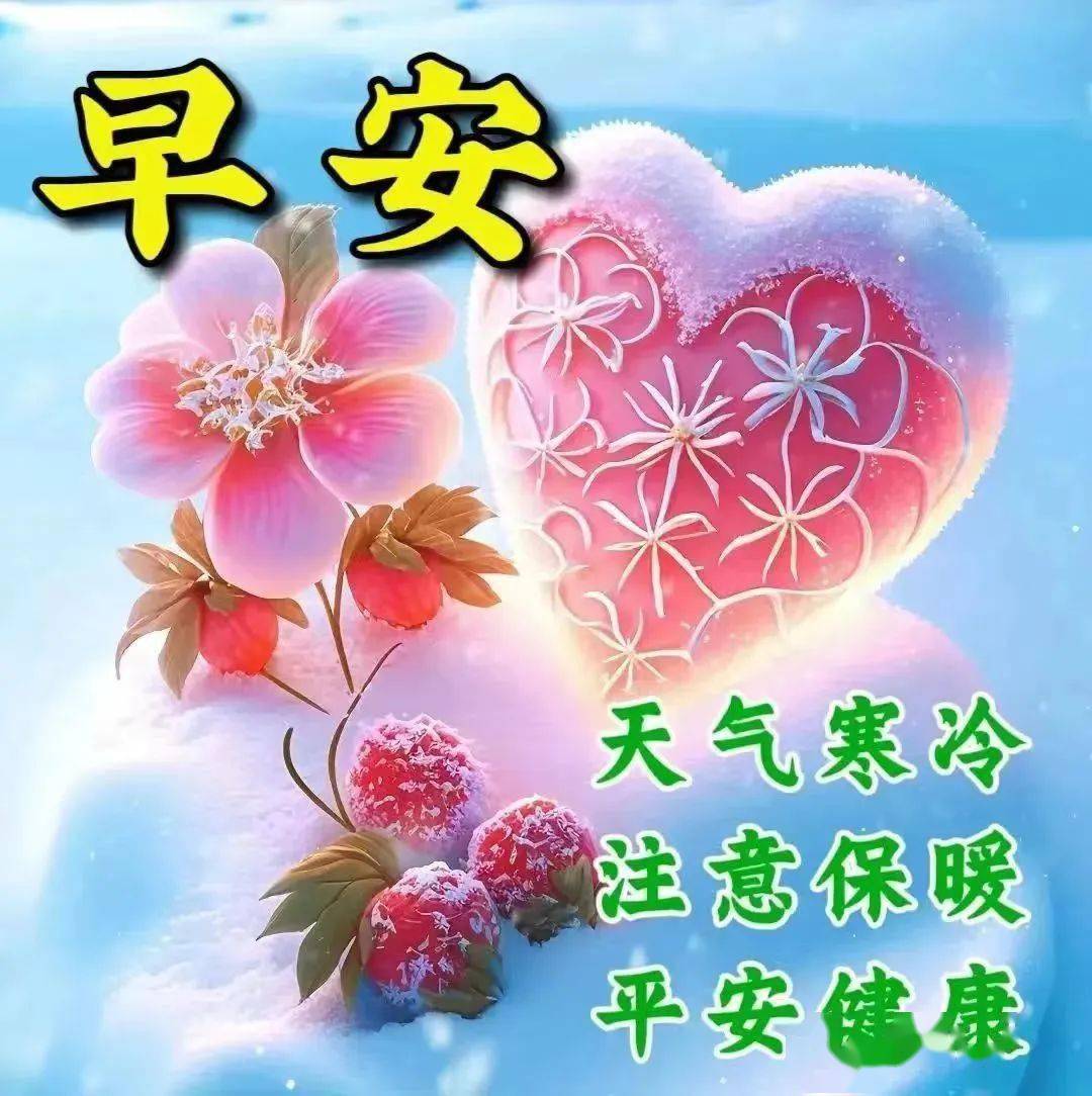 大家早上好