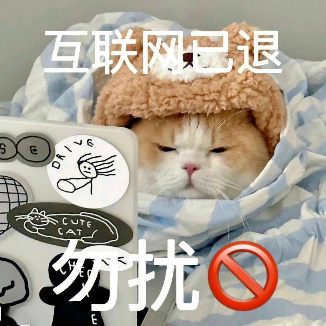 实用表情包:无情的嘲笑你_公众_il_熊猫头