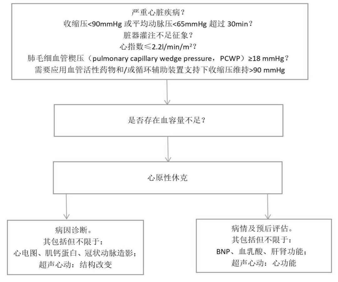 這些治療細節也不能忘_休克_患者_原性