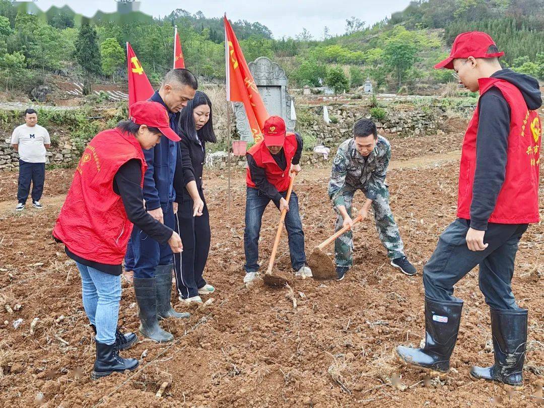 【退役军人志愿服务组织"先进集体"】黔西南州兴义市郑屯镇旌旗退役