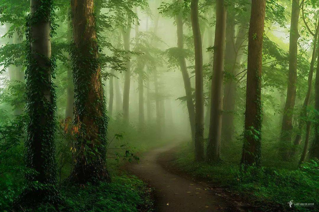 最好的风格就是极致,4位值得关注的小众风光摄影师