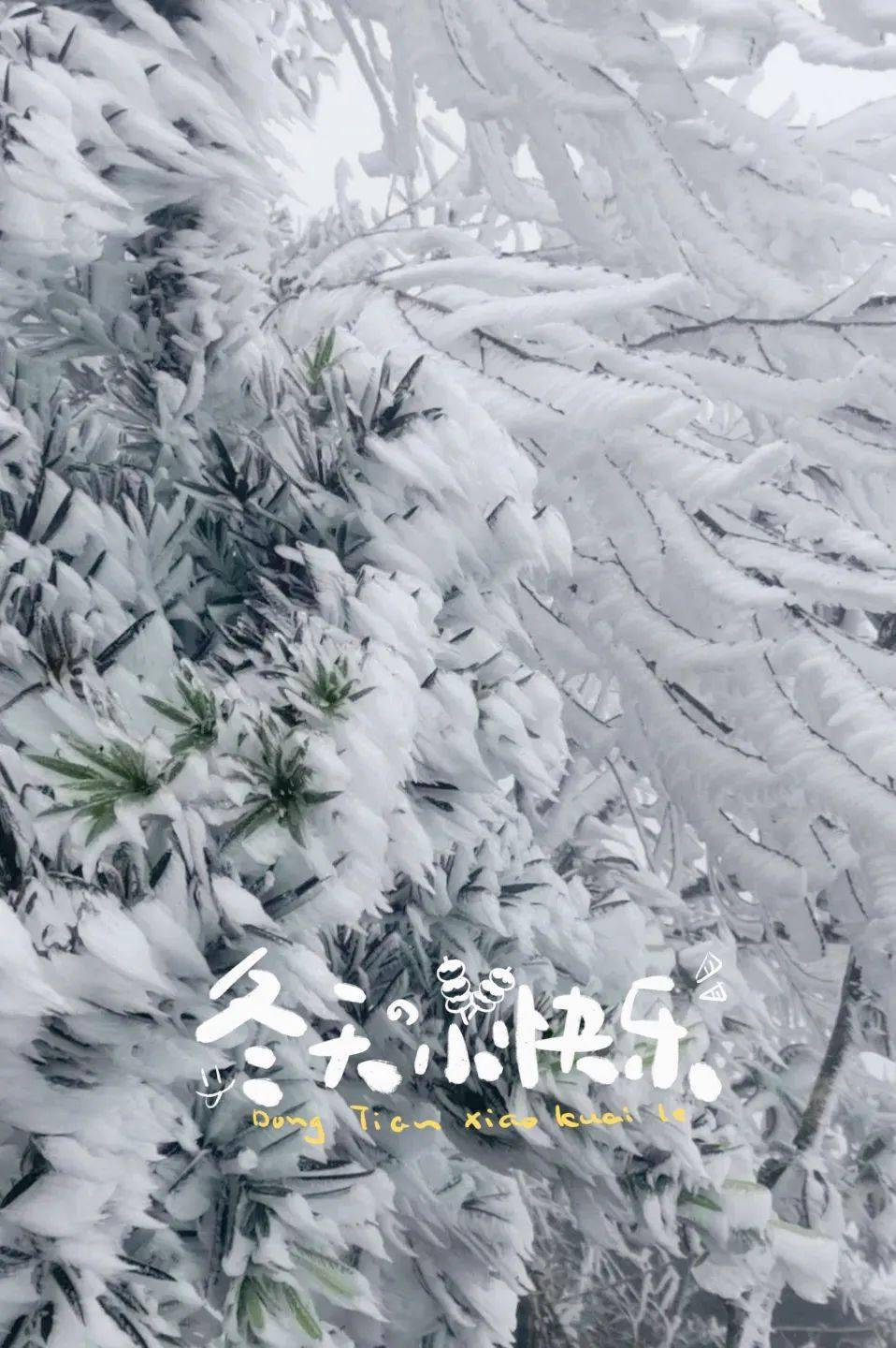 這些地方霧凇冰掛很驚豔,一秒進入冰雪世界_嶺南_樂昌市_雲海