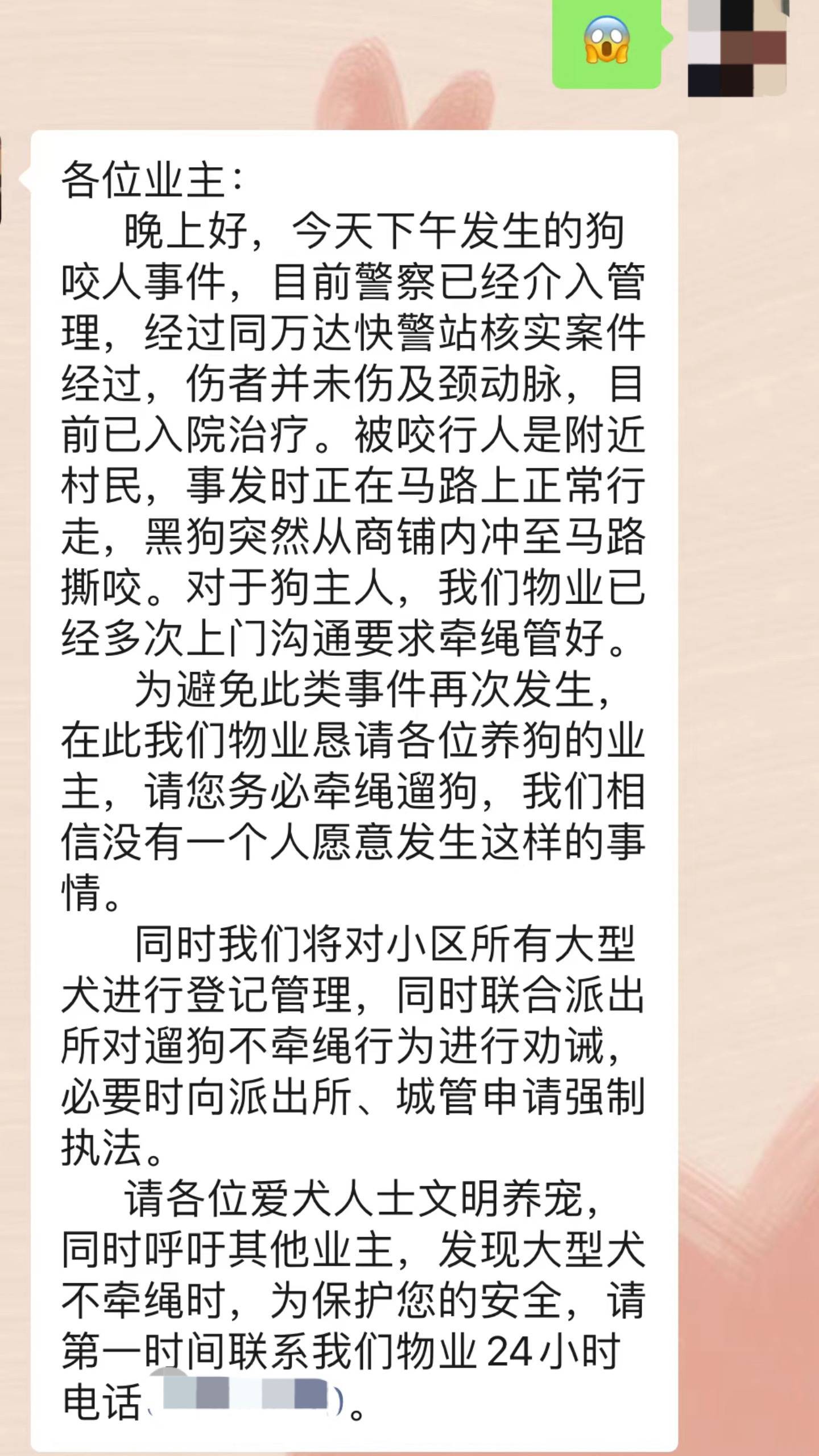 寻找狗主人通知图片