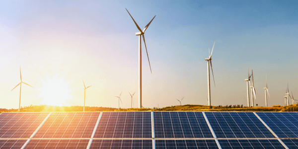 行业向"卷":业内人士热议中国光伏行业如何破局_企业_产业_新能源