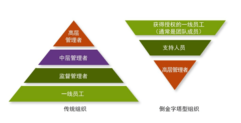 倒金字塔型组织的一线员工(如护士)位于组织结构图的顶端,而首席执行