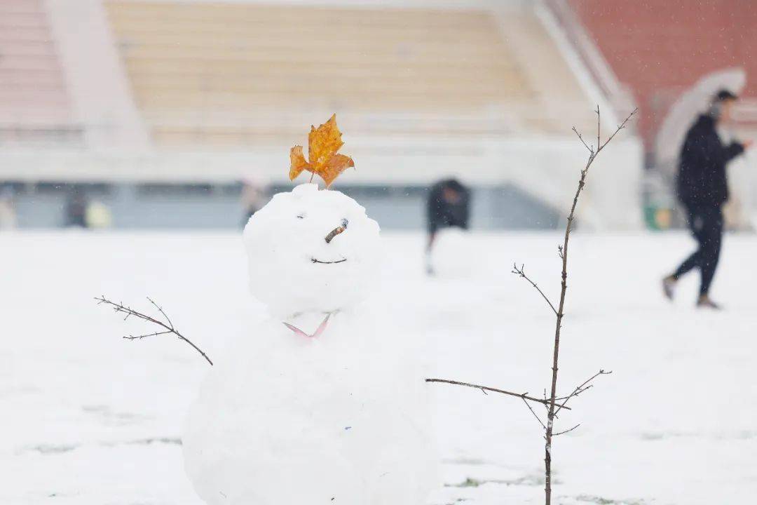 雪花_冬日_声音