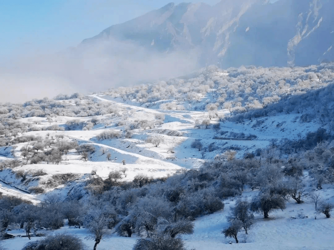 阿坝州茂县九鼎山太子岭滑雪场峨眉山雷洞坪滑雪场点此导航↓06滑雪