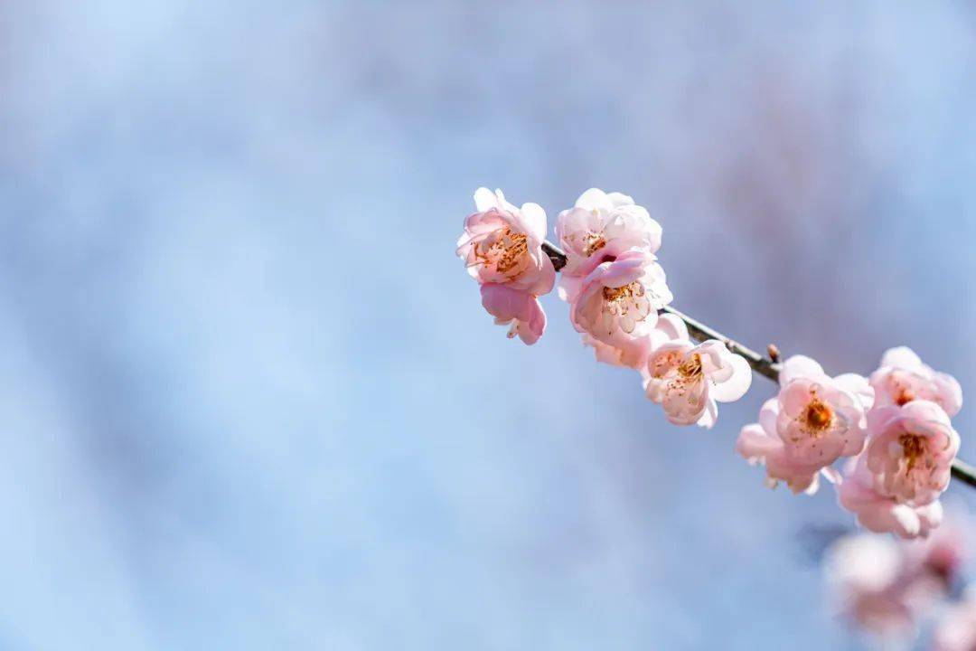 願你餘生,腳踏實地做人,坦坦蕩蕩做事,心中能有一把尺子,尺上有做人的