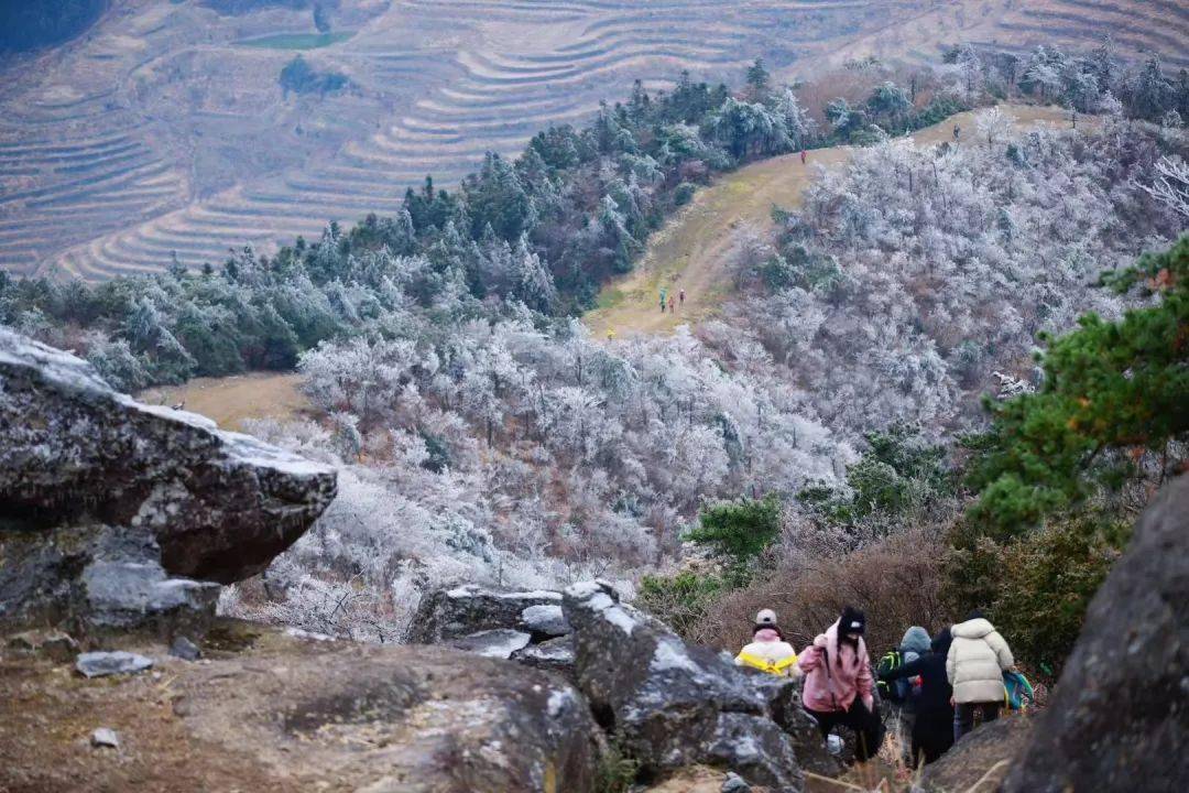 天台大雷山景区图片