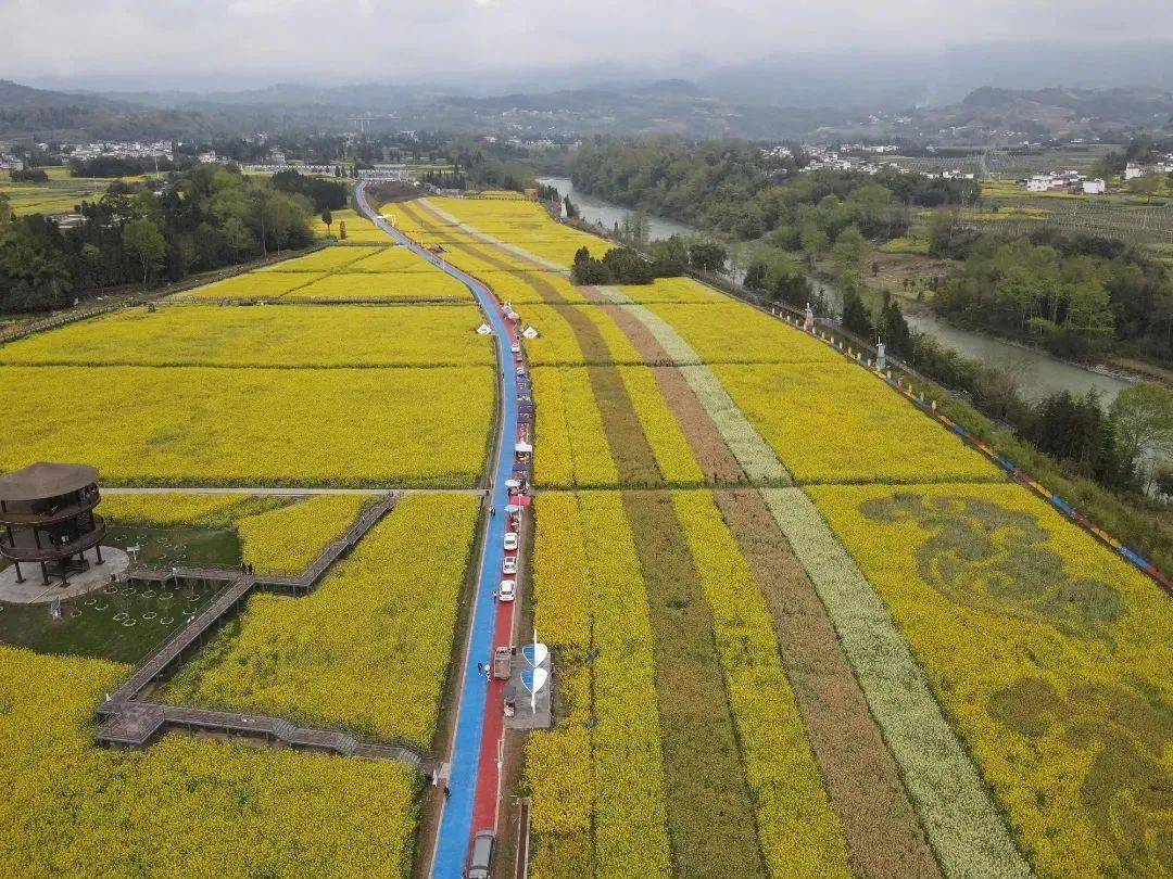 雅安芦山思延规划图片