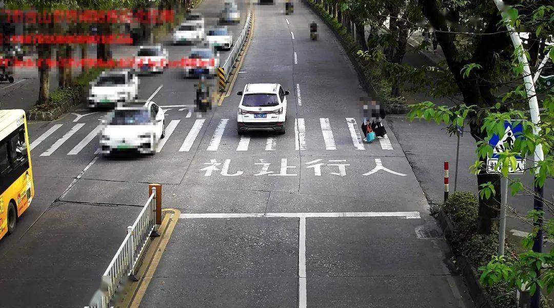 斑馬線前不禮讓行人,你被點名了!_機動車_道路_車牌